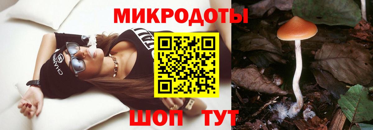Альфа ПВП Кострома