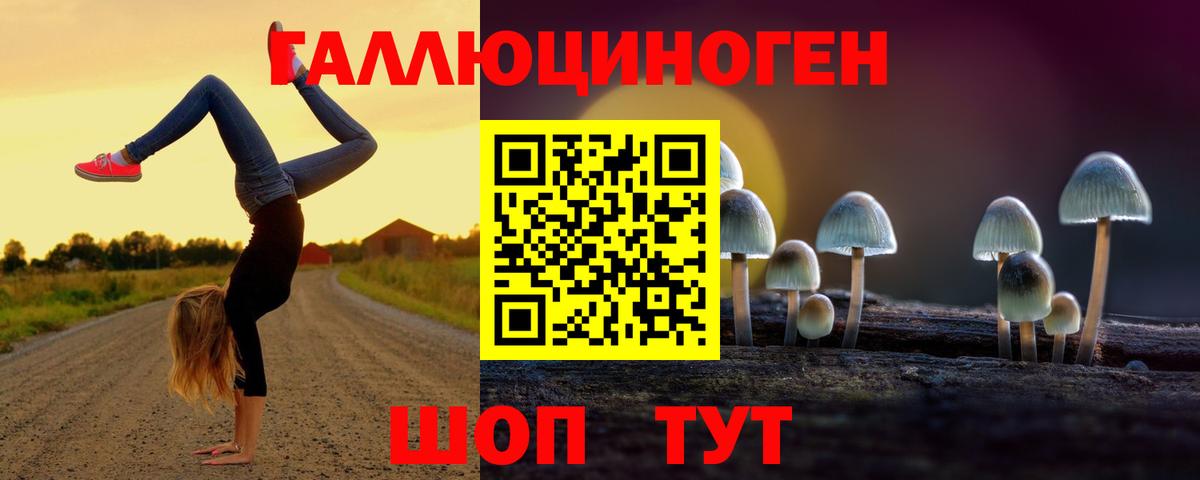 Псилоцибиновые грибы GOLDEN TEACHER  Вход с VPN  Кострома  Галлюциногенные грибы мухоморы 