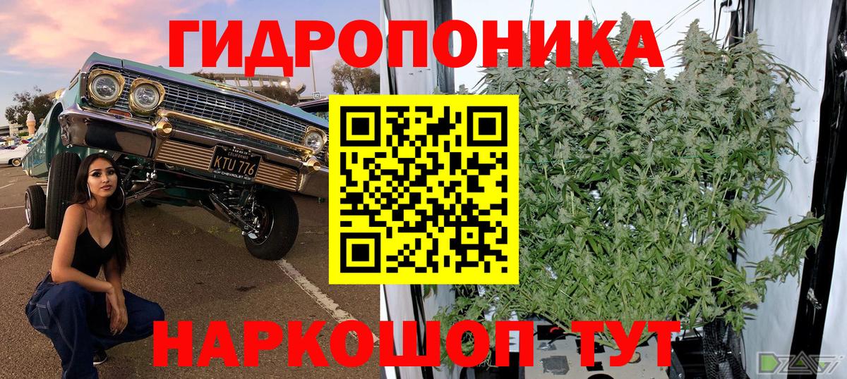 Бошки марихуана MAZAR  Бошки марихуана Bruce Banner  Вход с VPN  Кострома  Шишки марихуана VHQ 
